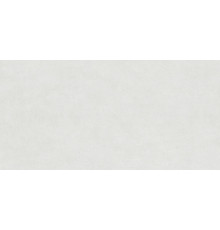 Керамогранит Alma Ceramica GFU60120BLN07R Berlin 60x120 серый глазурованный матовый под бетон