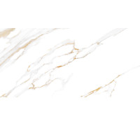 Плитка настенная Dublin TWU09DBL004 249x500x7.5 Глянцевая