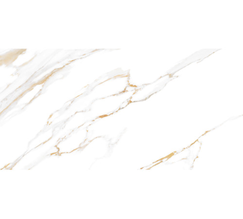 Плитка настенная Dublin TWU09DBL004 249x500x7.5 Глянцевая