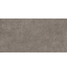 Настенная плитка Alma Ceramica TWU2550DCV40 Discover 24.9x50 коричневая глянцевая / рельефная под цемент