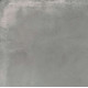 Керамогранит Граните Концепта Парете серый 60х60 SR