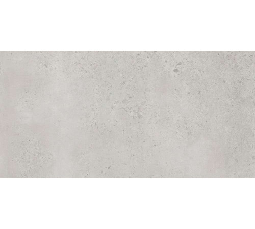 Керамогранит Граните Концепта Селикато серый 60х120 MR