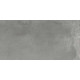 Керамогранит Граните Концепта Парете серый 60х120 SR