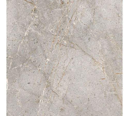 Керамогранит Граните Бардильо Классик 60х60 SR