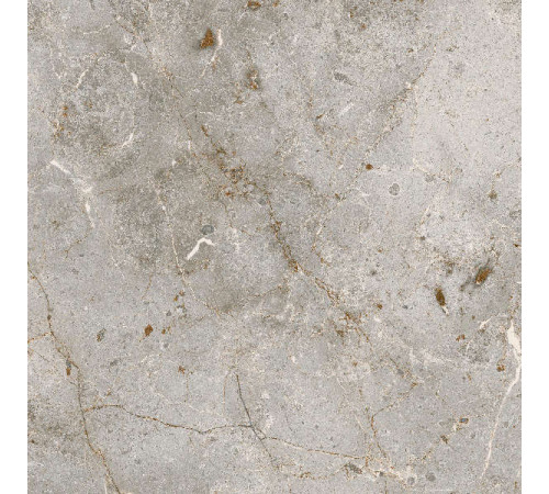 Керамогранит Граните Бардильо Классик 60х60 SR