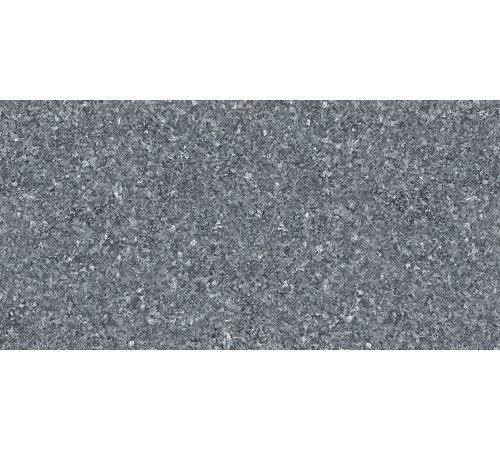 Керамогранит Граните Габриэлла серый 60х120 MR