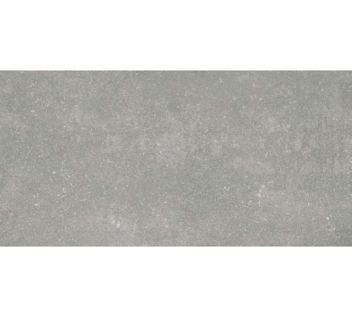 Керамогранит Граните Глория серый 60х120 SR
