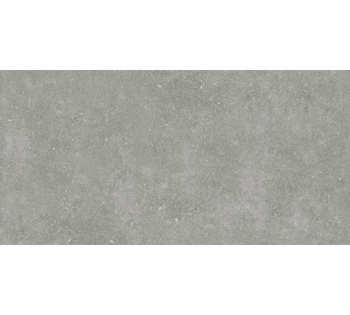 Керамогранит Граните Глория серый 60х120 SR