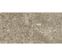 Керамогранит Граните Лунар коричневый 60х120 MR