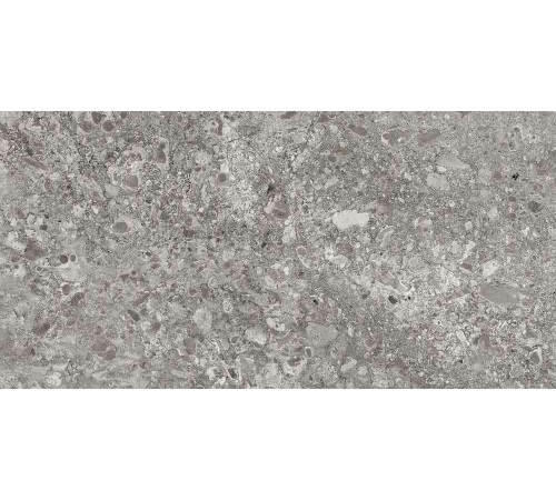 Керамогранит Граните Лунар серый 60х120 MR