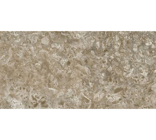 Керамогранит Граните Лунар коричневый 60х120 MR