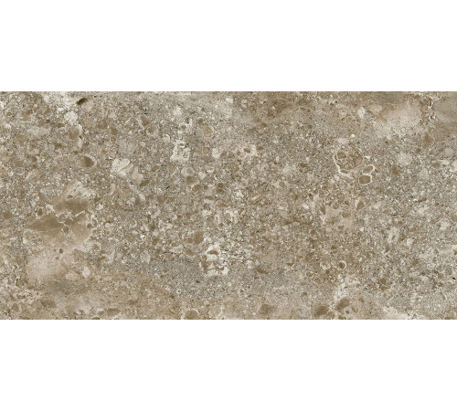 Керамогранит Граните Лунар коричневый 60х120 MR
