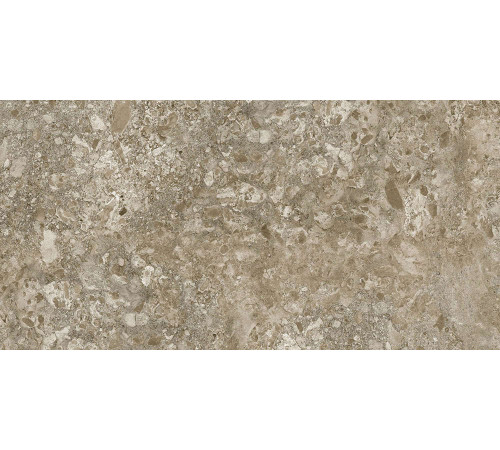 Керамогранит Граните Лунар коричневый 60х120 MR