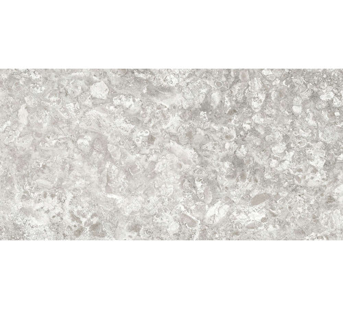 Керамогранит Граните Лунар светло-серый 60х120 LLR