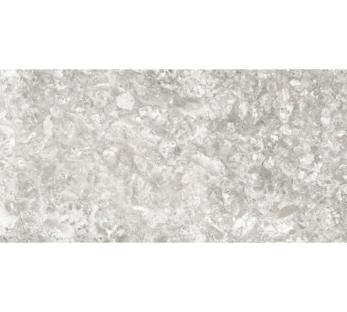 Керамогранит Граните Лунар светло-серый 60х120 LLR