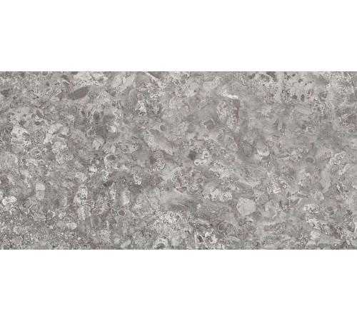 Керамогранит Граните Лунар серый 60х120 MR