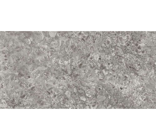 Керамогранит Граните Лунар серый 60х120 MR