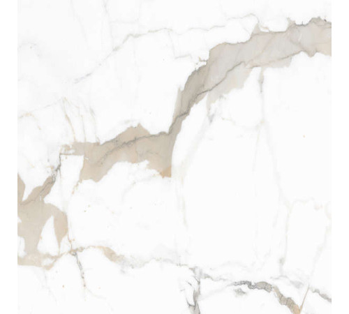 Керамогранит Граните Паллисандро Оро 60х60 LLR