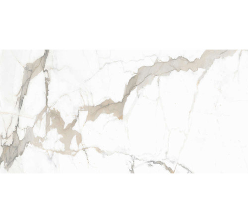 Керамогранит Граните Паллисандро Оро 60х120 SR