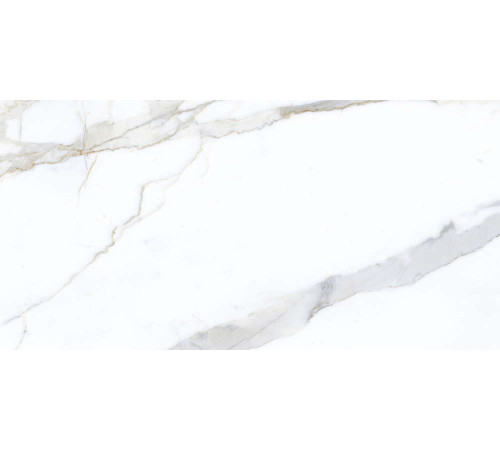 Керамогранит Граните Паллисандро Классик 60х120 LLR