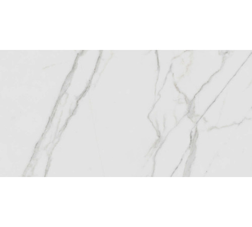 Керамогранит Граните Паллисандро Гриджио 60х120 MR