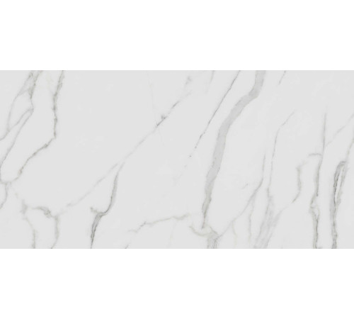 Керамогранит Граните Паллисандро Гриджио 60х120 LLR