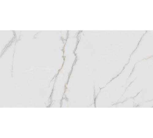 Керамогранит Граните Паллисандро Гриджио 60х120 LLR