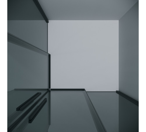 1/2 душевого ограждения Grossman Galaxy 1/2.K33.01.10.21.10 (100х195) черный матовый,стекло тонированное