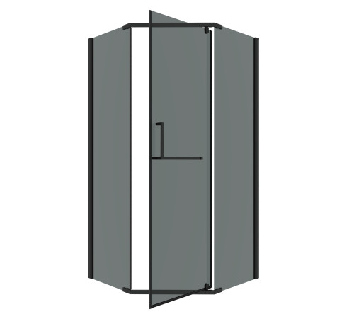 Душевое ограждение Grossman Pragma 302.K33.03.1010.21.10 (100х100х195) трапеция,распашная,черный матовый,стекло тонированное