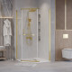 Душевое ограждение Grossman Pragma 302.K33.03.1010.32.00 (100х100х195) трапеция,распашная,золото сатин,стекло прозрачное