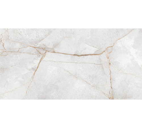 Керамогранит LCM 60120PEC15P Special Marmo Gray 60x120 серый полированный под камень