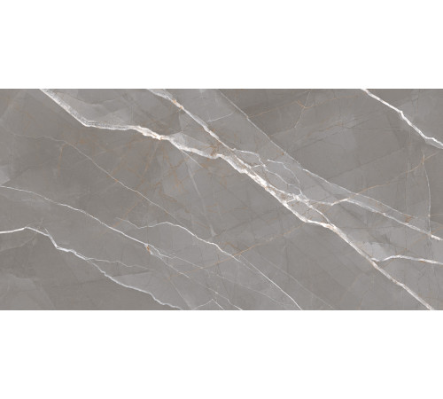 Керамогранит New Trend 60120ESE25P Essential Graphite 60x120 серый полированный под мрамор