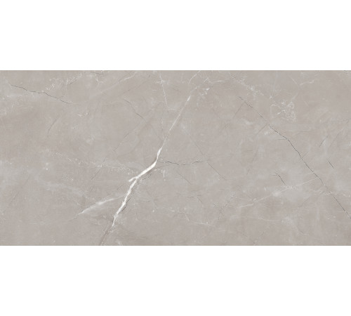 Vitrum Grigio Керамогранит серый 60x120 полированный