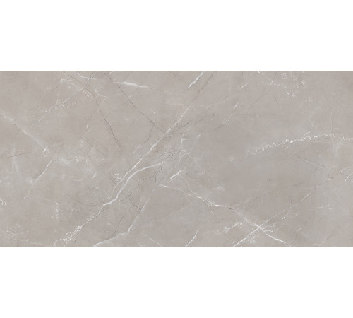 Vitrum Grigio Керамогранит серый 60x120 полированный