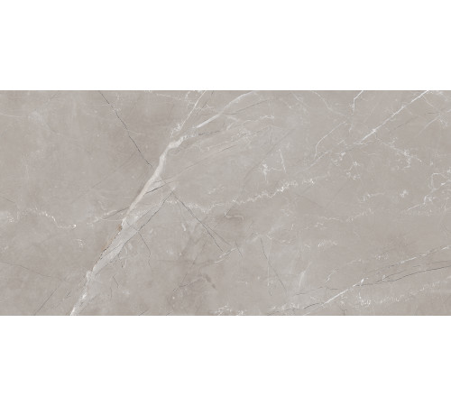 Vitrum Grigio Керамогранит серый 60x120 полированный