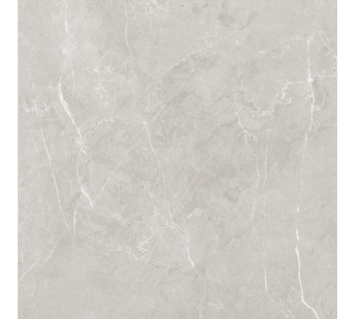 Scandy Керамогранит светло-серый обрезной SG645120R 59,5х59,5