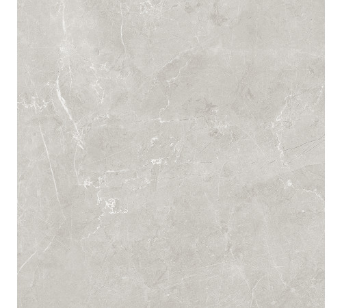 Scandy Керамогранит светло-серый обрезной SG645120R 59,5х59,5