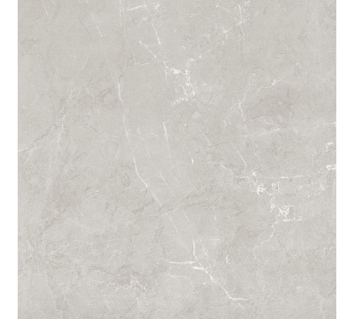 Scandy Керамогранит светло-серый обрезной SG645120R 59,5х59,5