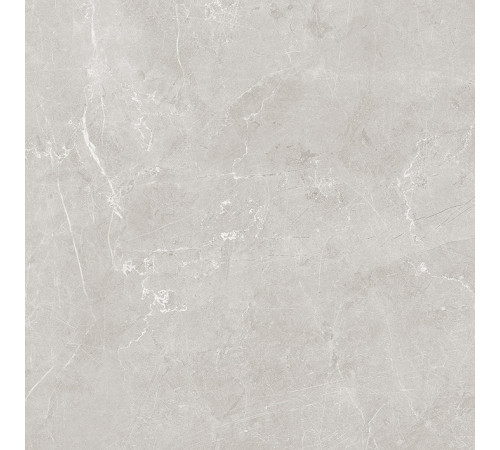 Scandy Керамогранит светло-серый обрезной SG645120R 59,5х59,5