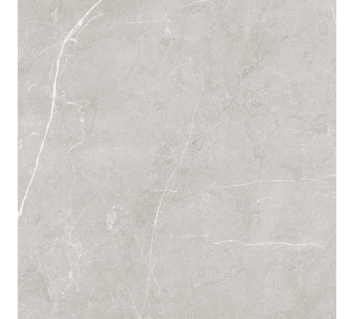 Scandy Керамогранит светло-серый обрезной SG645120R 59,5х59,5