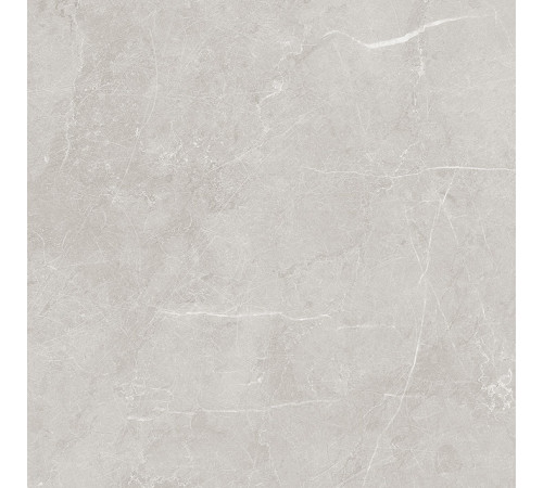 Scandy Керамогранит светло-серый обрезной SG645120R 59,5х59,5