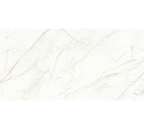Europa Gold l Керамогранит белый 60x120 Матовый Карвинг