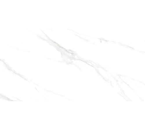 Calacatta Genius Керамогранит белый 60х120 Полированный
