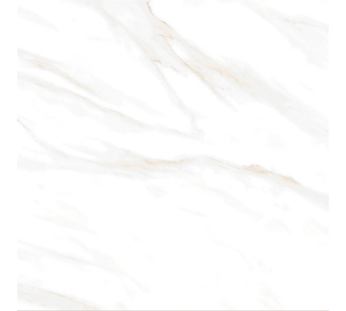 Calacatta Clarity Gold Керамогранит белый 60х60 Матовый