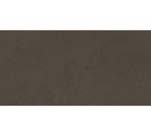 Sandstone Brown PRO Керамогранит коричневый 60х120 матовый R10GR STR CB