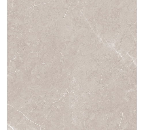 Pietra Grigio Керамогранит светло-коричневый 60х60 матовый карвинг
