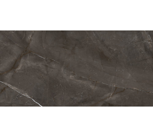 Timeless Marrone Керамогранит коричневый LP6012G0051R 59,5х119,1 матовый карвинг