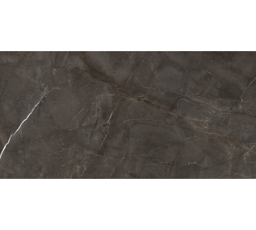 Timeless Marrone Керамогранит коричневый LP6012G0051R 59,5х119,1 матовый карвинг