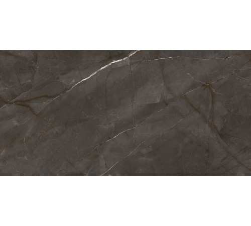 Timeless Marrone Керамогранит коричневый LP6012G0051R 59,5х119,1 матовый карвинг