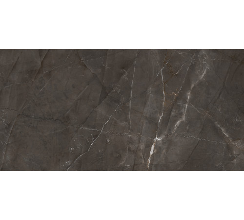 Timeless Marrone Керамогранит коричневый LP6012G0051R 59,5х119,1 матовый карвинг